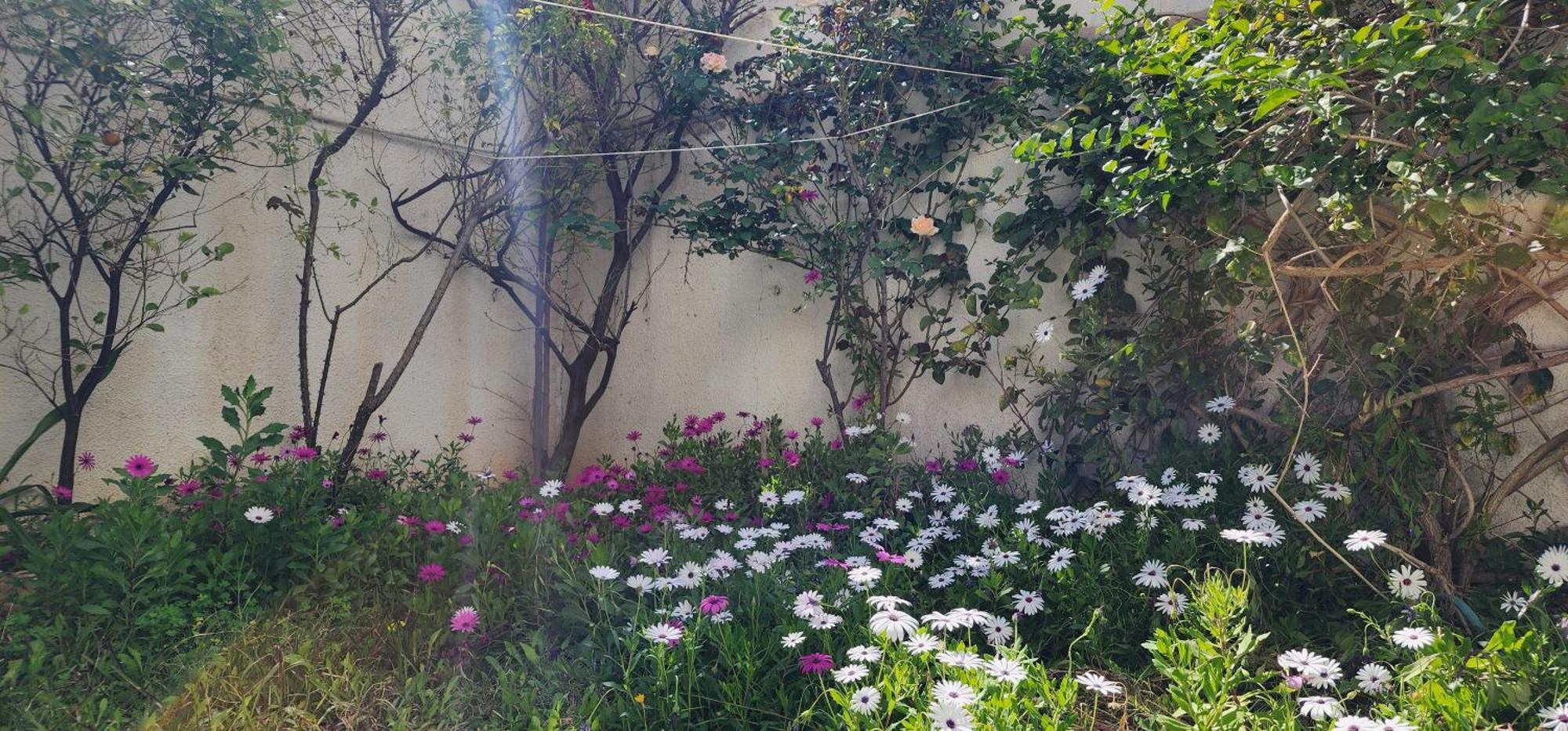 Duplex Bien Equipe Securise Avec Jardin Et Veranda La Marsa Exterior foto